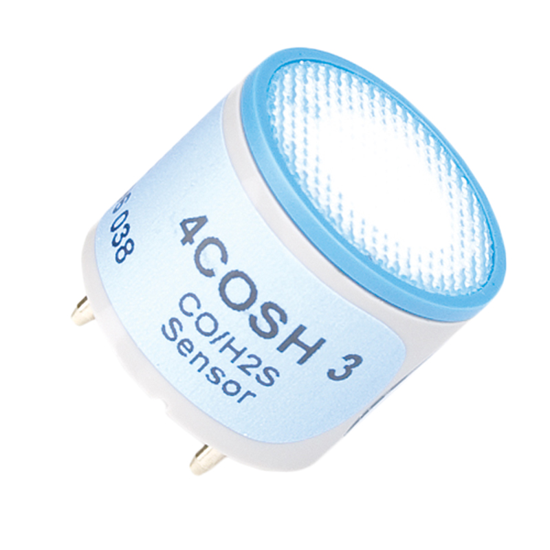 Gas Alert Micro 5 Honeywell BW™ goSafe