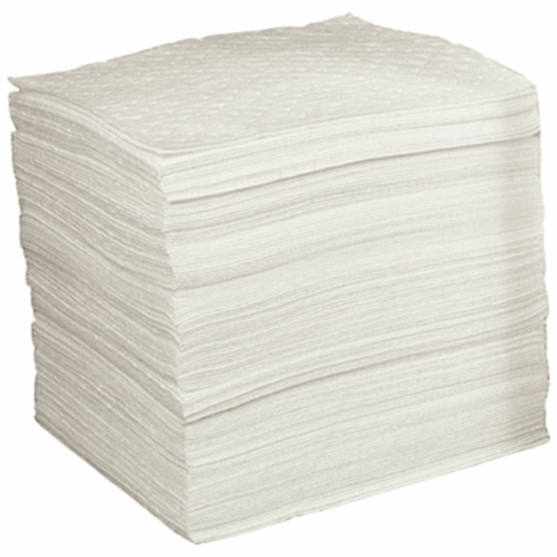 CEPP100