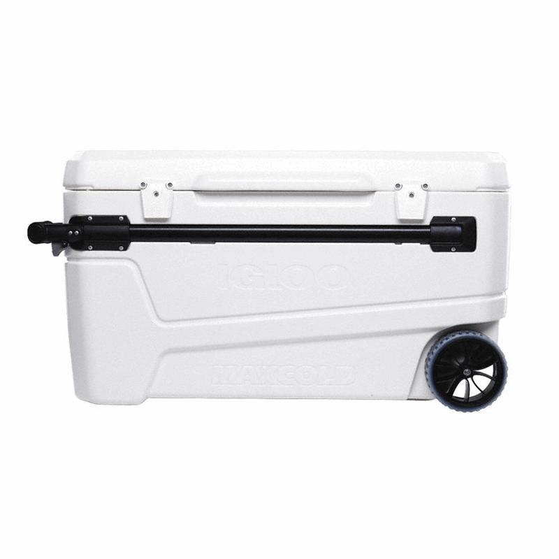 IGL50170
