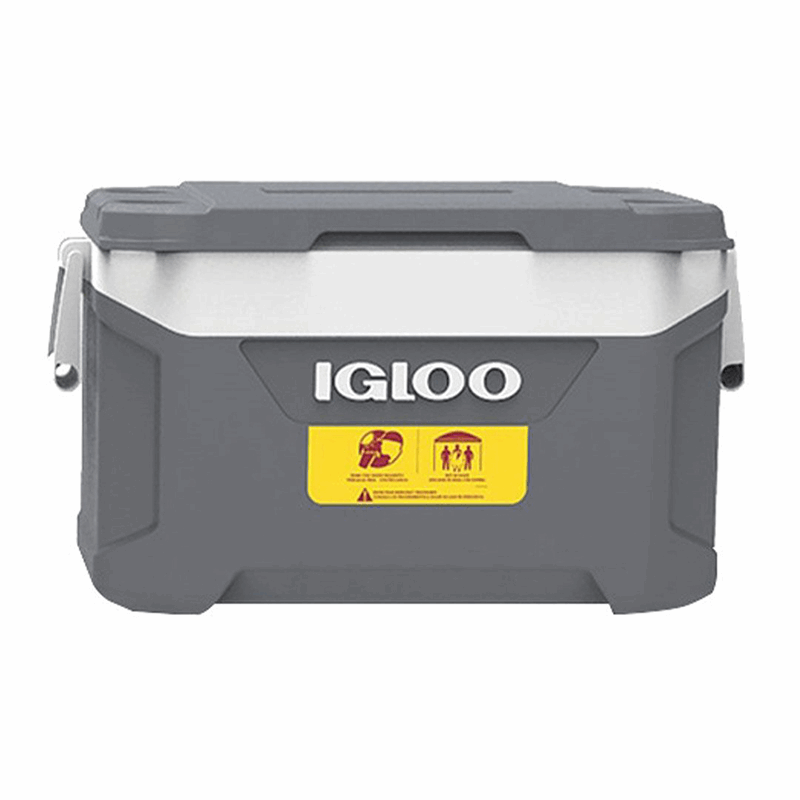 IGL50440