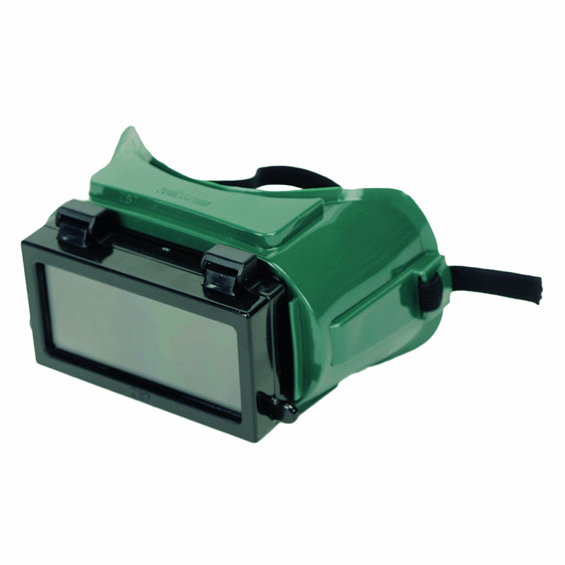SEL85550